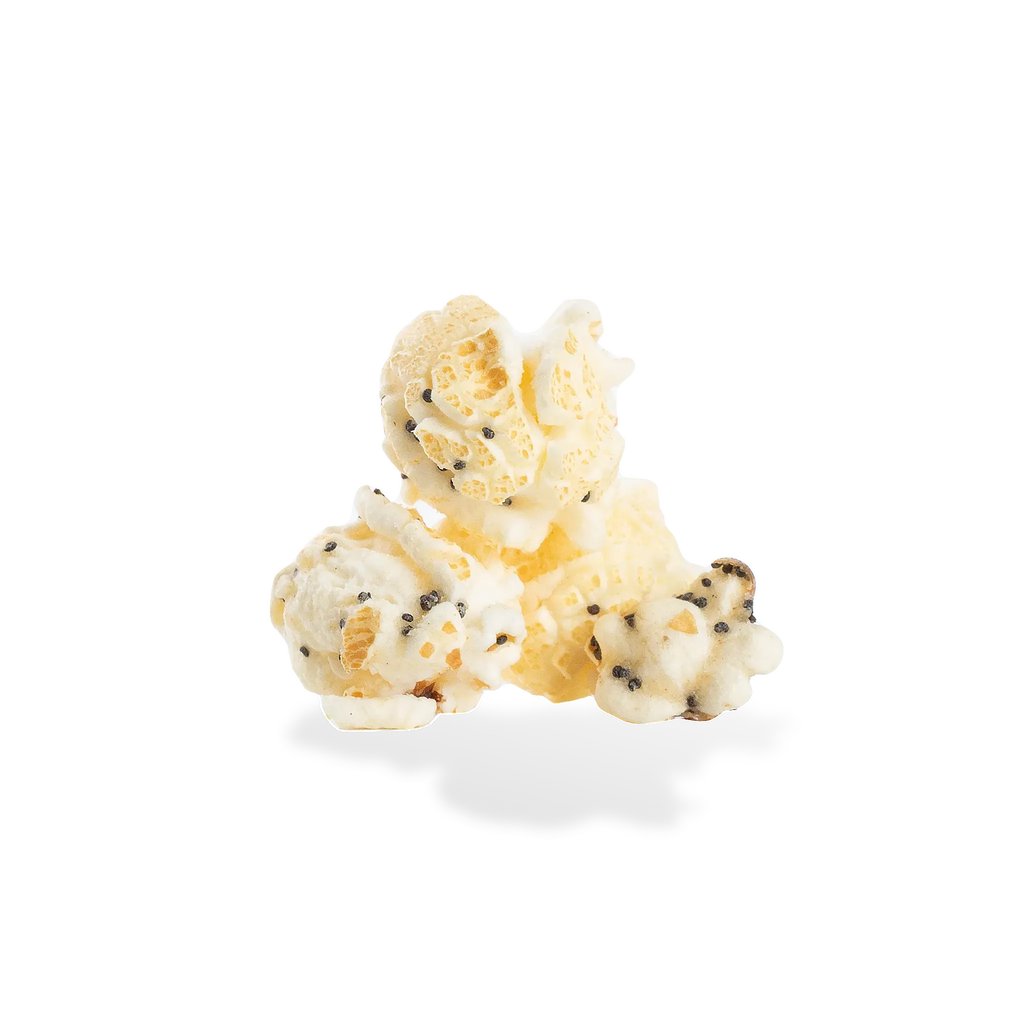 City Pop Everything Bagel Popcorn
