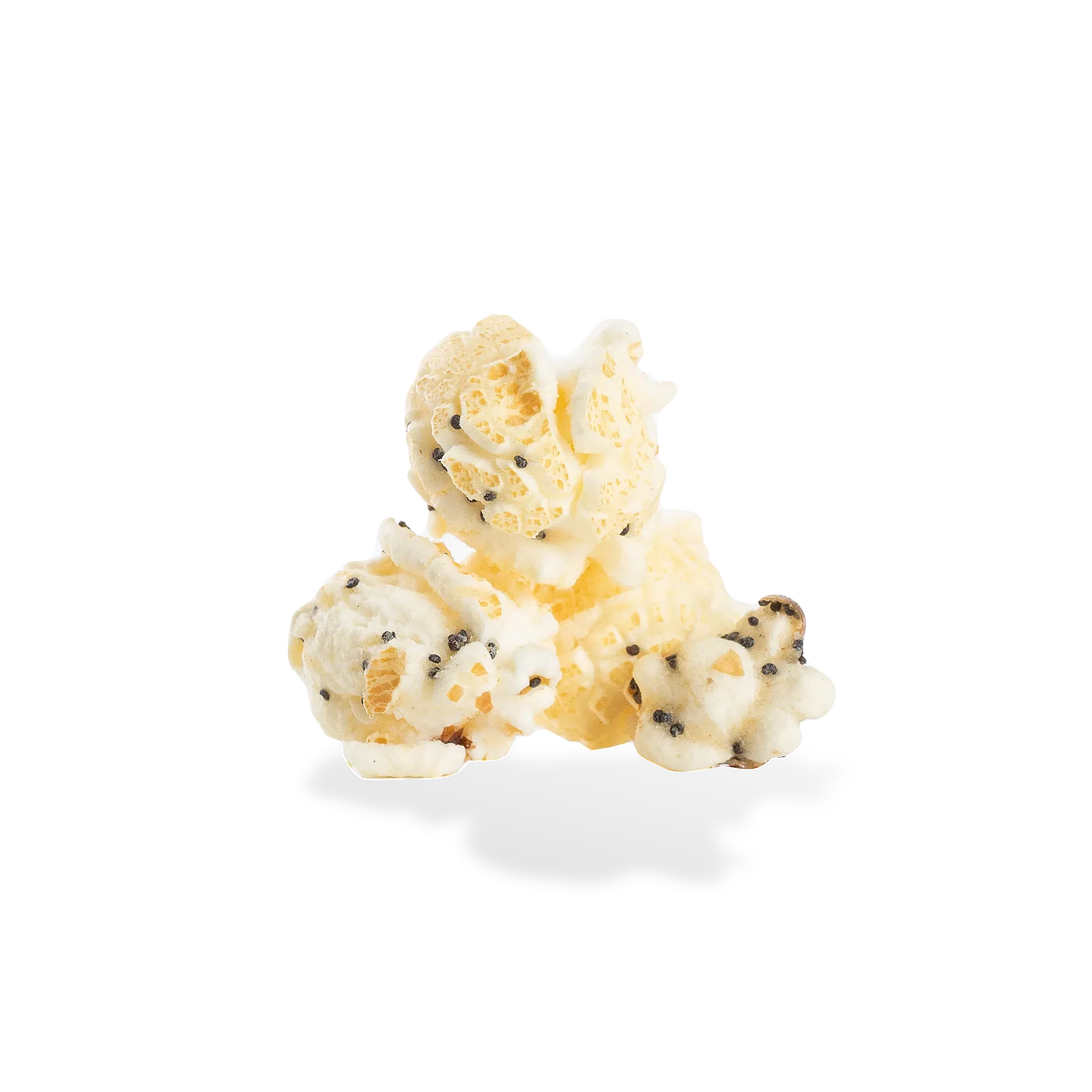 City Pop Everything Bagel Popcorn