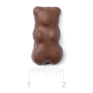 Chocolate Covered Jumbo Gummy Bears: 5LB Box
