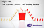 Albanese Red Wild Cherry Gummy Bears: 5LB Bag