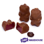 Chocolate Covered Cinnamon Bears: 13LB Case