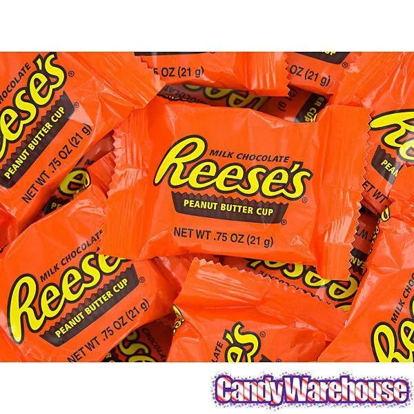 Reese's Peanut Butter Cups Snack Size Packs: 24-Piece Bag