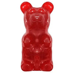 World's Largest 5 Pound Gummy Bear: 3CT Case